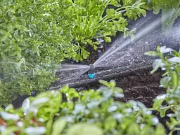 Мікронасадка Gardena Micro-Drip-System стрічкова двохстороння, 5 шт (13319-20) - мініатюра 2