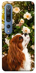 TPU чохол Demsky Flower spaniel для Xiaomi Mi 10 / Mi 10 Pro