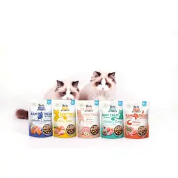 Ласощі для кішок Brit Raw Treat Urinary Freeze-dried з куркою та індичкою 40 г - мініатюра 6