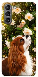TPU чохол Demsky Flower spaniel для Samsung Galaxy S21