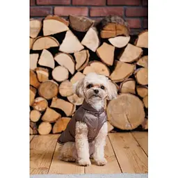 Жилет Pet Fashion Hardy для собак розмір M2 - мініатюра 10