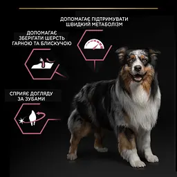 Сухий корм Purina Pro Plan Medium Adult 1+ Sensitive Skin для дорослих собак середніх порід з чутливою шкірою з лососем 14 кг (12375802) - мініатюра 7