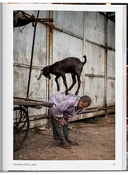 Steve McCurry. Animals - мініатюра 3