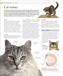 The Cat Encyclopedia - мініатюра 10