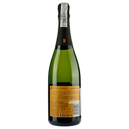 Вино ігристе Hoya de Cadenas Cava Brut Nature, біле, брют, 11,5%, 0,75 л - мініатюра 2