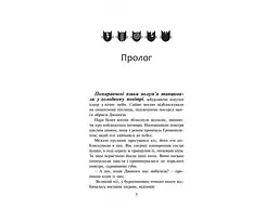 Книга Коти воїни Вогонь та лід 2 kni0003740 - мініатюра 2