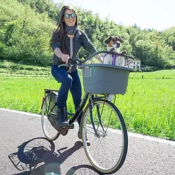 ATLAS BIKE 10 RAPID - мініатюра 8
