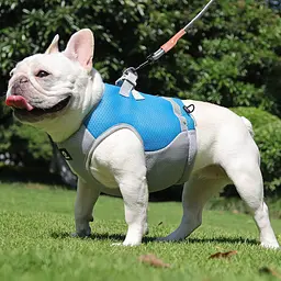 Літній охолоджувальний жилет для собак Derby Summer Dog Cooling Vest PPA0116-4, Blue, XL - мініатюра 2