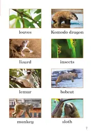 Big and Small. Ladybird Readers. Level 2 - мініатюра 3