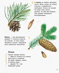 Енциклопедія дошкільника (нова) Видавництво Ранок Ліс - мініатюра 7