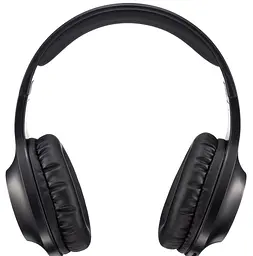 Гарнітура Panasonic RB-HX220BEE-K (6612084) - мініатюра 2