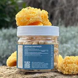 Тремела Лісовик Tremella fuciformis 120 капсул - мініатюра 3