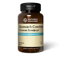 Стомак Комфорт НСП, 60 таблеток | Stomach Comfort NSP
