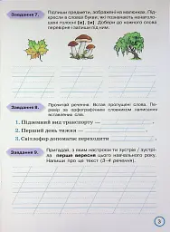 Твої досягнення. Українська мова. 3 клас. Тематичні діагностувальні роботи - мініатюра 5