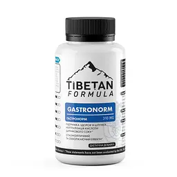 Таблетки Tibetan Formula Гастронорм 360 таблеток