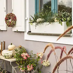 Вазон Lechuza Balconera Color, 12 л, білий (15680) - мініатюра 6