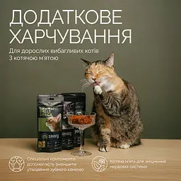Ласощі хрумкі Savory Cats Snacks Crunchy Balls Для дорослих вибагливих котів кульки з котячою м'ятою 60 г - мініатюра 3