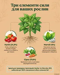 Природне калійно-магнієве гранульоване добриво Patent KALI (Патент Калій) 1 кг - мініатюра 4