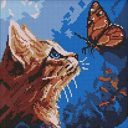 Алмазна мозаїка на підрамнику Котик та метелик 30x30 см AMO20076