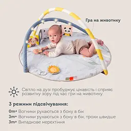Музичний килимок з дугами, що розвиває, колекції "Квітуча фантазія" – СОНЯЧНІ НОТИ Taf Toys 13495 - мініатюра 5