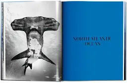 Michael Muller. Sharks - мініатюра 5
