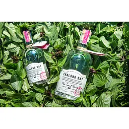 Ром Chalong Bay Thai Sweet Basil 40% 0.7 л - мініатюра 4