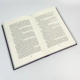 Весілля служниці - Фріда Мак-Фадден | Vivat, книга українською, нова, тверда - мініатюра 3