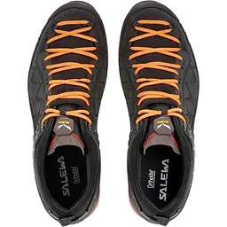 Кросівки Salewa MS MTN Trainer 2 GTX 45 чорний