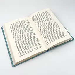 #ОГЛЯБЕЗГОЛОВЫ - Люко Дашвар | Клуб Семейного Досуга, книга на украинском, новая, твердая - миниатюра 3