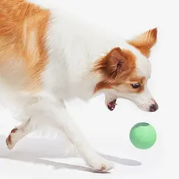 Розумний м'ячик для собак Cheerble Wicked ball PE C0722 Green [150922] - мініатюра 6