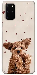 TPU чохол Demsky Сute doggy для Samsung Galaxy S20+