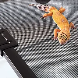 Тераріум Repti-Zoo RAK 50x30x35см (RAK05) - мініатюра 5