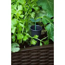 Грядка для рослин Keter Easy Grow коричнева (17194592521) - мініатюра 5