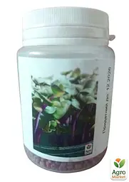 Насіння Agro-Market Мікрозелень Редис у банці 20 г (45224) - мініатюра 2
