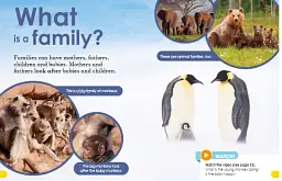 Animal Families - мініатюра 4
