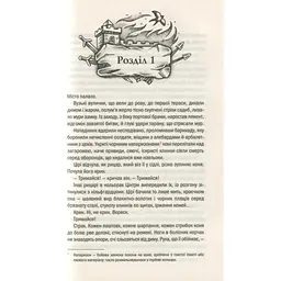 Книга Відьмак. Кров ельфів. Книга 3 - Анджей Сапковський КСД (9786171519152) - мініатюра 8