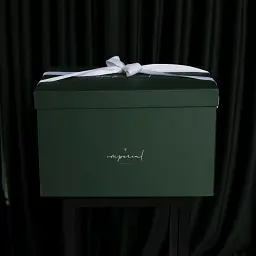 Набір MirSon пуховий №10009 Imperial Satin Luxe літо ковдра 200х220 см + 2 подушки білий (2200010810882) - мініатюра 7