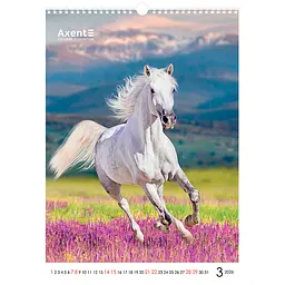Календар настінний Axent А3 Horses 2026 рік (8804-26-3-A) - мініатюра 4