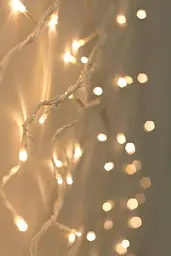 Світлодіодна гірлянда Leds нитка силікон 2 м 20 led батарейки АА - мініатюра 4