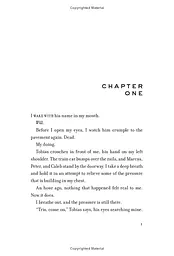 Insurgent. Book 2. Anniversary edition - мініатюра 4
