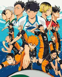 Картина за номерами Волейбол!! Haikyuu!! 40х50 см PN HK 01