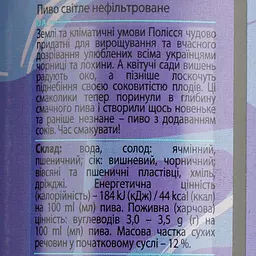Пиво Forever Blueberry & Cherry світле нефільтроване 4.5% 0.5 л з/б - мініатюра 4