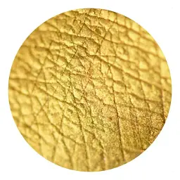 Розсипчасті тіні Sinart Make-Up With Passion тон 49 (Fine Shining Gold) 1 г - мініатюра 2
