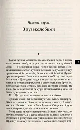 Місто уповільненої дії - Анатолій Дністровий - мініатюра 4