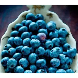 Саджанець Agro-Market Лохина (чорниця садова) Блюкроп (Bluecrop) (середній термін дозрівання, дуже стійкий до хвороб, посухи та морозів) 1 саджанець (23930) - мініатюра 2