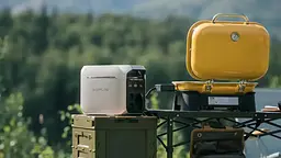 Зарядна станція EcoFlow DELTA 3 EU / 1800 Вт / 1024 Вт⋅год / LiFePO4 (EFDELTA3-EU) - мініатюра 8