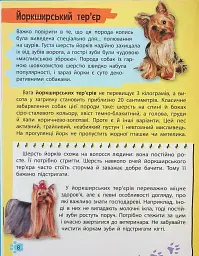 Мініенциклопедія. Хатні улюбленці - мініатюра 8