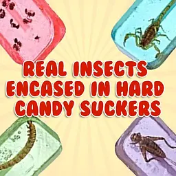 Льодяник із комахою Hotlix Assorted Cricket Sucker 1шт, 28г - мініатюра 4