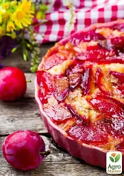 Саджанець Agro-Market Слива Голлівуд (літній сорт, середній термін дозрівання) 1 шт. в упаковці (39964) - мініатюра 3
