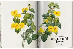 Redoute. The Book of Flowers - мініатюра 7